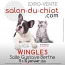 Le salon du chiot et du chat des le 11 janvier à Wingles