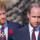 Harry et William publient un communiqué commun