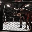 Les compétitions de MMA legalisées en France