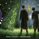 La Nuit des livres Harry Potter est organisée dans la région