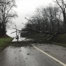 TEMPÊTE CIARA : Les précautions à prendre avec des vents à 130 km/h