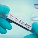 Coronavirus : le bilan quotidien