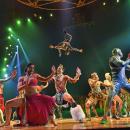 Le Cirque du Soleil vendu aux enchères