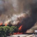 MARTIGUES  L'incendie est toujours en cours video sur A55 en ce moment