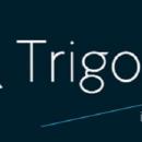 L'agence "Trigone Immobilier" à Armentières recrute un(e) Conseiller(ère) location