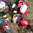 Les pompiers du Nord sauvent un chien