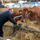 Le salon de l'agriculture est annulé pour 2021