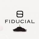 "Fiducial Expertise" à Lens recrute un(e) assistant(e) comptable en CDI