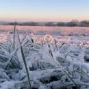 Fortes gelées ce mardi matin sur les Hauts-de-France