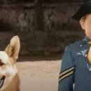 Mort de Lee Aaker : l’enfant star de la série Rintintin est décédé à 77 ans