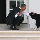 Bo, le chien de Barack Obama, est mort