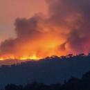 Algérie : Plus de 40 morts dans les incendies qui ravagent le nord du pays