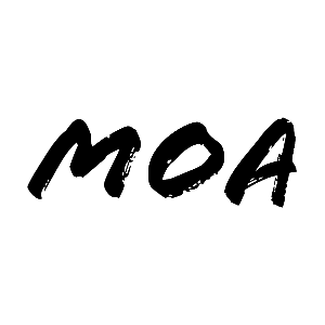 La boutique "MOA" de Roubaix recrute un(e) vendeur(se) en CDD