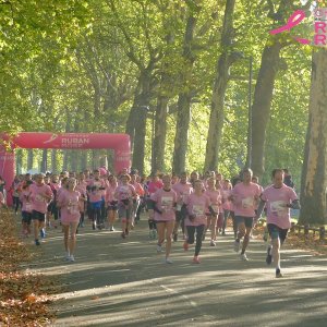 Le challenge du "Ruban Rose", ce week end à Lille