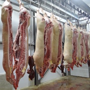 L'activité d'abattage suspendue, à l'abattoir de Valenciennes