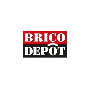 Brico Dépôt recrute vendeur [H/F] en CDI à Faches-Thumesnil