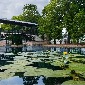 Lille récompensée au concours "Capitale française de la biodiversité"