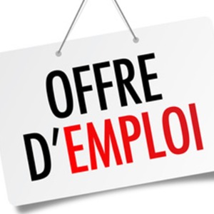 Le groupe Leleu à Tilloy-lès-Mofflaines recrute Magasinier / Vendeur pièces de rechange automobile [H/F]