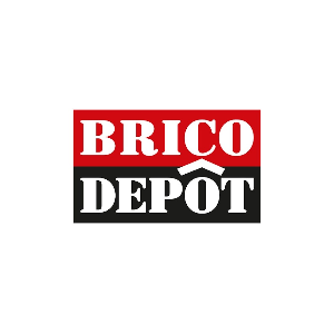 Le magasin Brico Dépôt à Bailleul recrute un(e) vendeur(se) en CDI