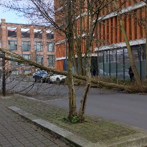 La tempête EUNICE a fait 9 morts en Europe