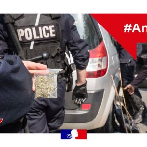 Nouvelle opération anti drogue à Villeneuve d'Ascq