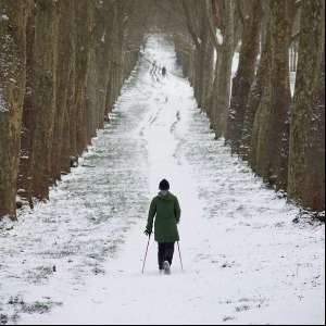 Météo : Jusqu'à 7cm de neige dans les Hauts-de-France pour cette fin de semaine