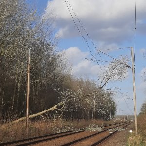 SNCF : la circulation interrompue entre Douai et Valenciennes