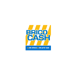 Le magasin Brico Cash à Illies recrute un conseiller de vente [H/F] en CDD