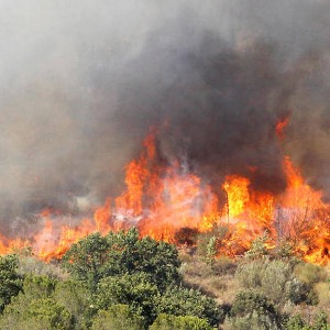 Le feu dans les Pyrénées Orientales, est stabilisé