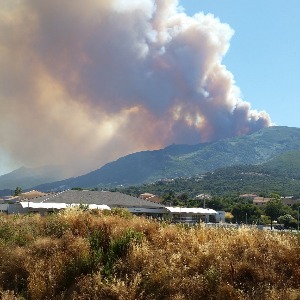 Un feu s'est déclaré hier en Haute Corse