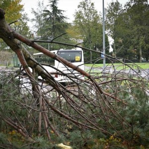 Tempête Ciaran : 2 blessés graves hier dans le Nord