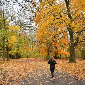 Les parcs et jardins restent fermés à Lille