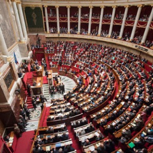 Des députés manquent d'en venir aux mains, à l'Assemblée Nationale !