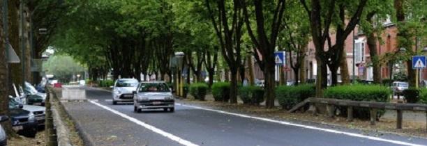 Villeneuve d’Ascq : Un homme,originaire de Belgique , est mort hier d'une crise cardiaque dans la rue