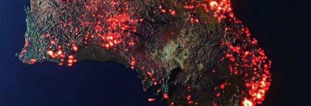 Le saviez vous ? La photo que tout le monde partage est une visualisation 3D des incendies ?