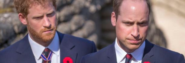 Harry et William publient un communiqué commun