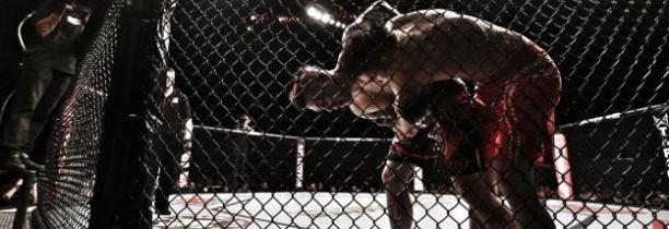 Les compétitions de MMA legalisées en France