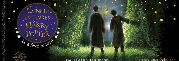 La Nuit des livres Harry Potter est organisée dans la région