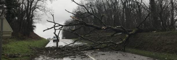 TEMPÊTE CIARA : Les précautions à prendre avec des vents à 130 km/h