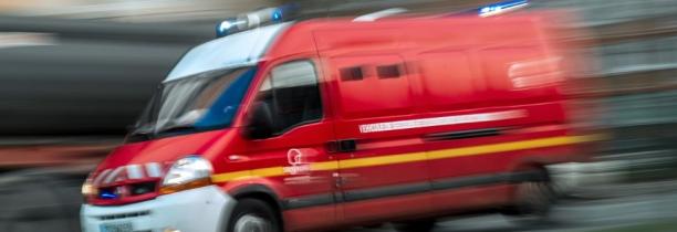 Un homme est mort après avoir chuté de son toit, et avoir été attaqué par ses chiens