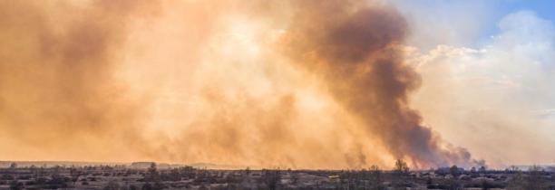 Un incendie important ravage la zone de Tchernobyl