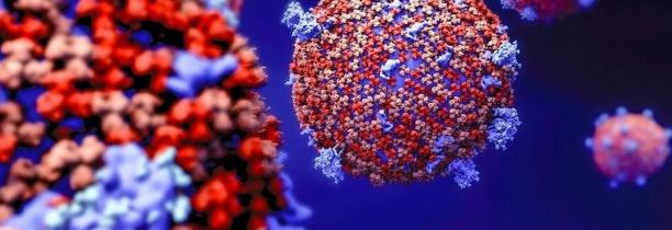 Coronavirus : Nouveau bilan 369 morts