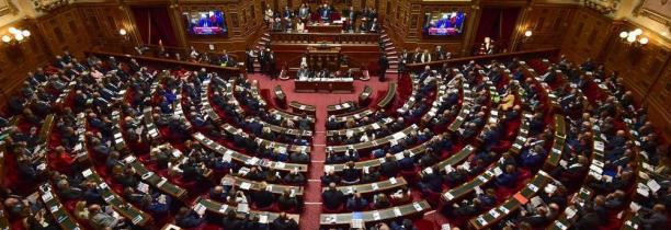 Le Sénat rejette l'allongement du délai d'IVG pendant l'état d'urgence