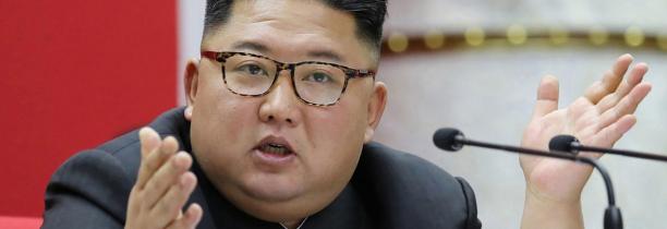 Kim Jong-Un confisque les chiens de tous les nord-coréens pour qu'ils soient mangés.