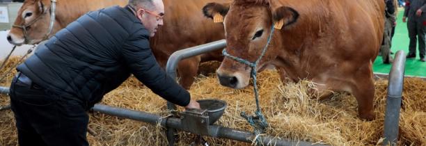 Le salon de l'agriculture est annulé pour 2021