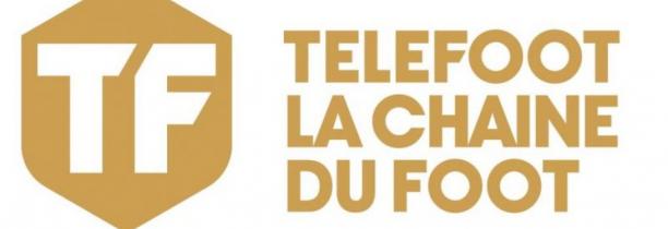 Vers une fermeture de la chaîne Telefoot ?