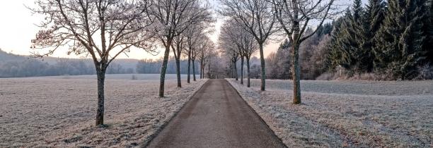 Attention sur la route ce matin !