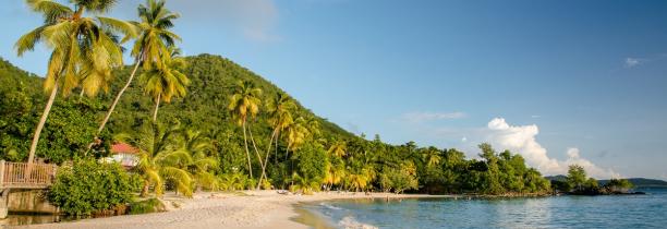 Attention, si vous comptiez partir en vacances en Martinique !