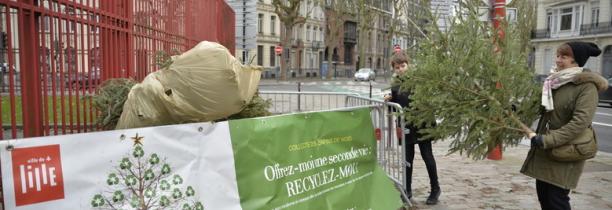 Le bilan de la collecte des sapins de Noël à Lille