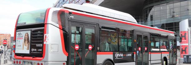 Pas de bus ni de tramway Ilévia, aujourd'hui encore